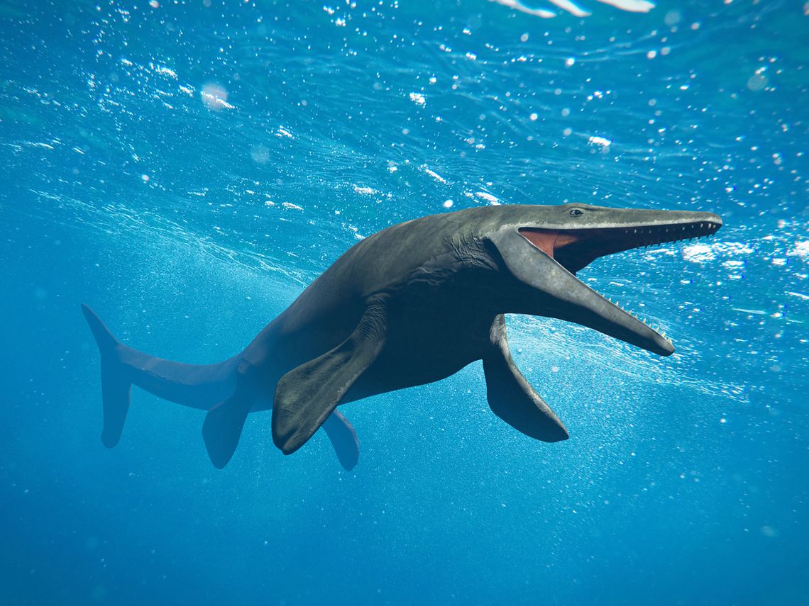 Mosasaurus: el depredador oceánico de la era de los dinosaurios