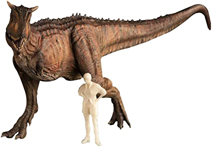 Amazon.com: Nanmu Studio 1/35 Escala Carnotaurus Figura Carno Estatua realista Bereserker Dinosaurio Figura de Acción Modelo de PVC Juguetes Dinosaurio Colector Decoración Regalo para Adulto Rojo: Toys & Games